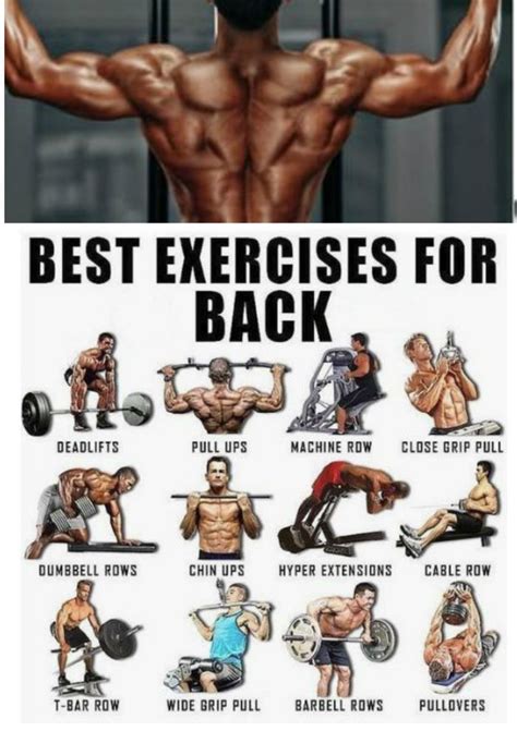 Back Workouts for Men. Best Tips from our Experts